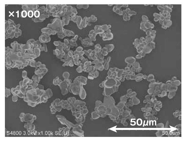 福建聯合新材料科技有限公司